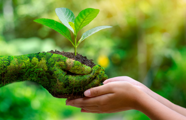 Dia Nacional da Educação Ambiental: Transformando Sustentabilidade e Finanças Pessoais