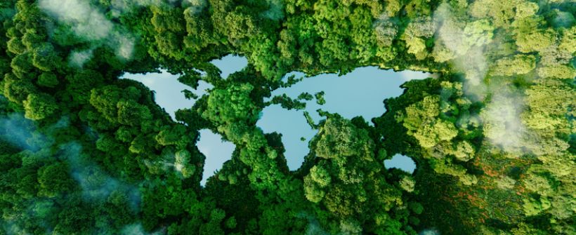 COP30: o cooperativismo no centro das soluções climáticas