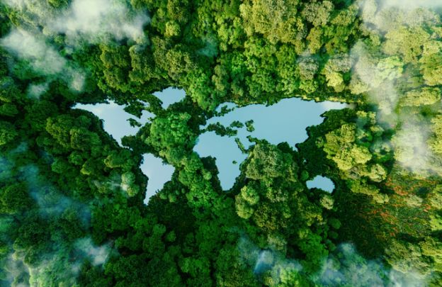 COP30: o cooperativismo no centro das soluções climáticas