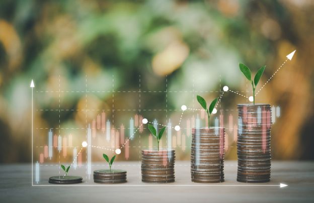 Investimentos ESG: o que são, como funcionam e por que investir de forma sustentável